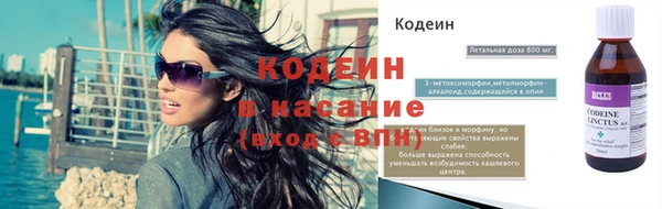 индика Абинск