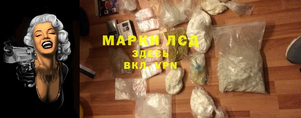 индика Абинск