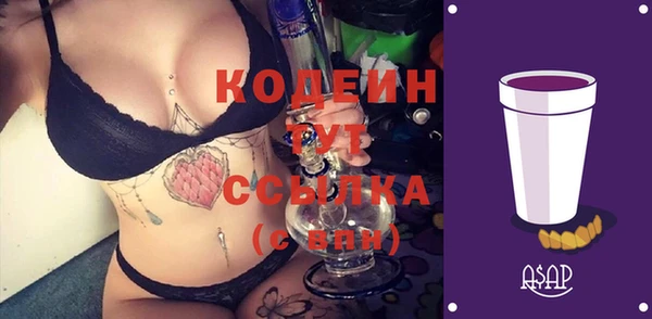 индика Абинск