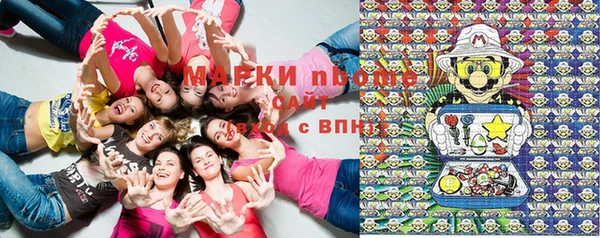 СК Снежногорск