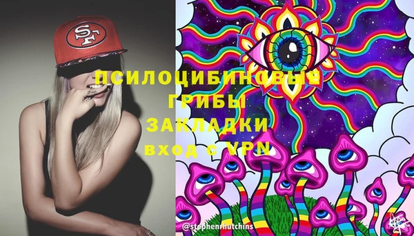 индика Абинск