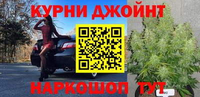 сатива Волжск