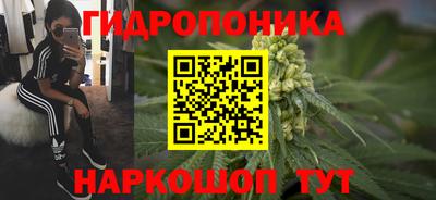 ешки Волжский