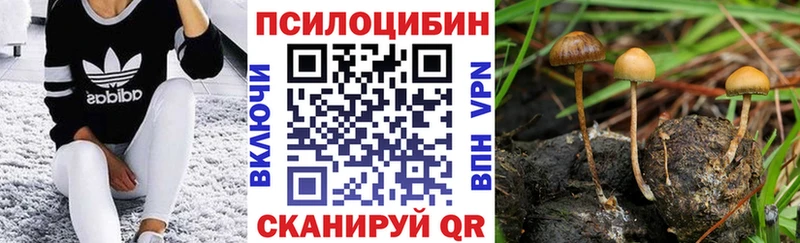Галлюциногенные грибы GOLDEN TEACHER  где купить наркотик  Зеленокумск 