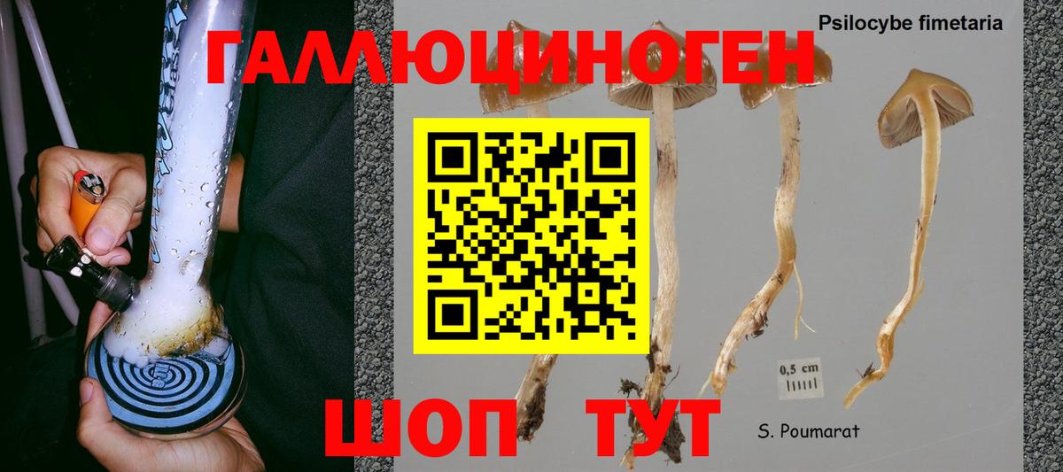 Зеленокумск  Галлюциногенные грибы мухоморы  Галлюциногенные грибы MAGIC MUSHROOMS  где купить наркоту  Вход с VPN 